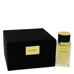 Dolce & Gabbana Velvet Patchouli Eau De Parfum Spray By Dolce & Gabbana - Chio's New York